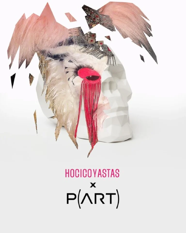 Hocicoyastas