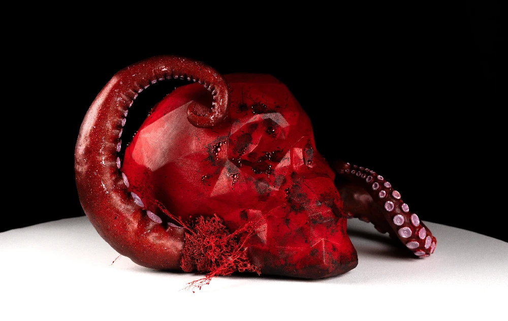 Descomposición fértil x Aurora Duarte