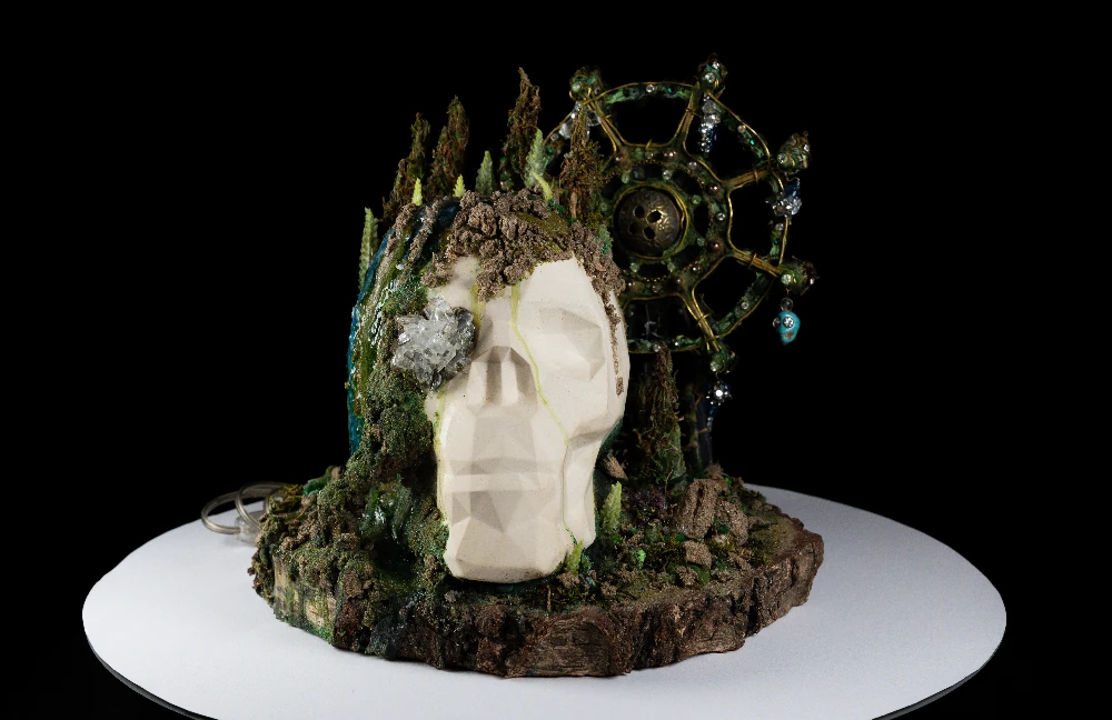 Brillo Sostenible x Hocicoyastas - Image 2