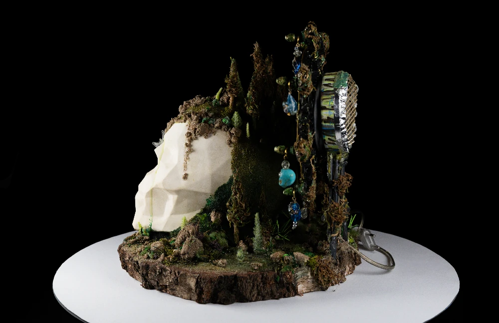 Brillo Sostenible x Hocicoyastas - Image 3