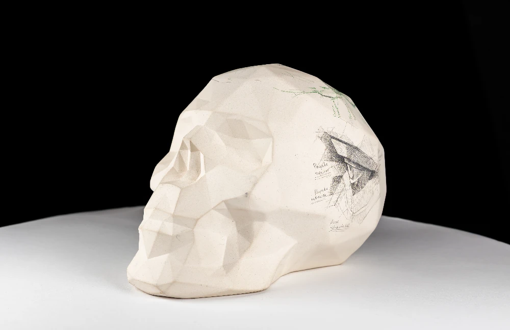 Estructura de un día de trazos x Efrain Malo - Image 2