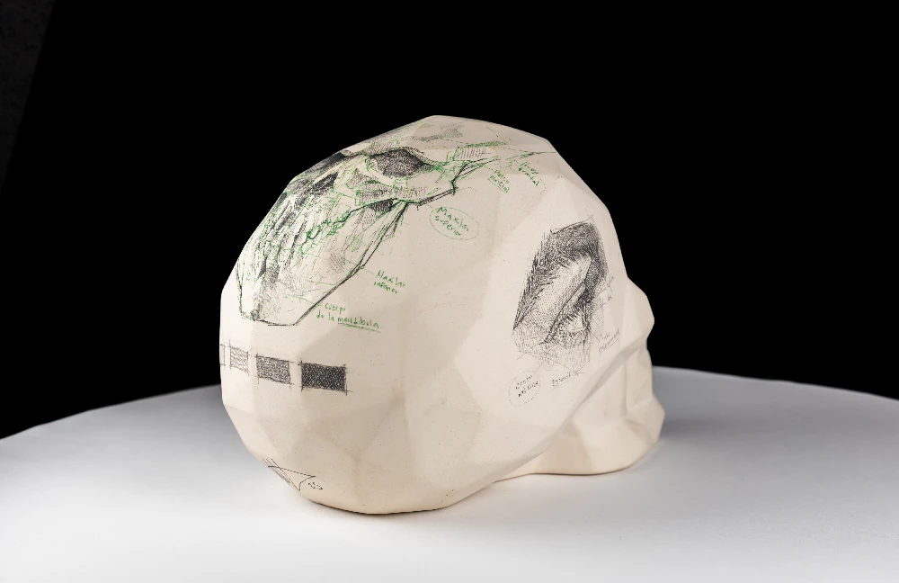 Estructura de un día de trazos x Efrain Malo