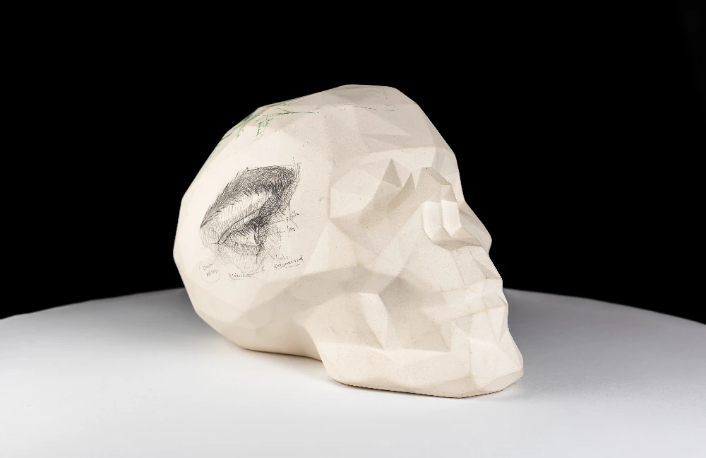 Estructura de un día de trazos x Efrain Malo - Image 3